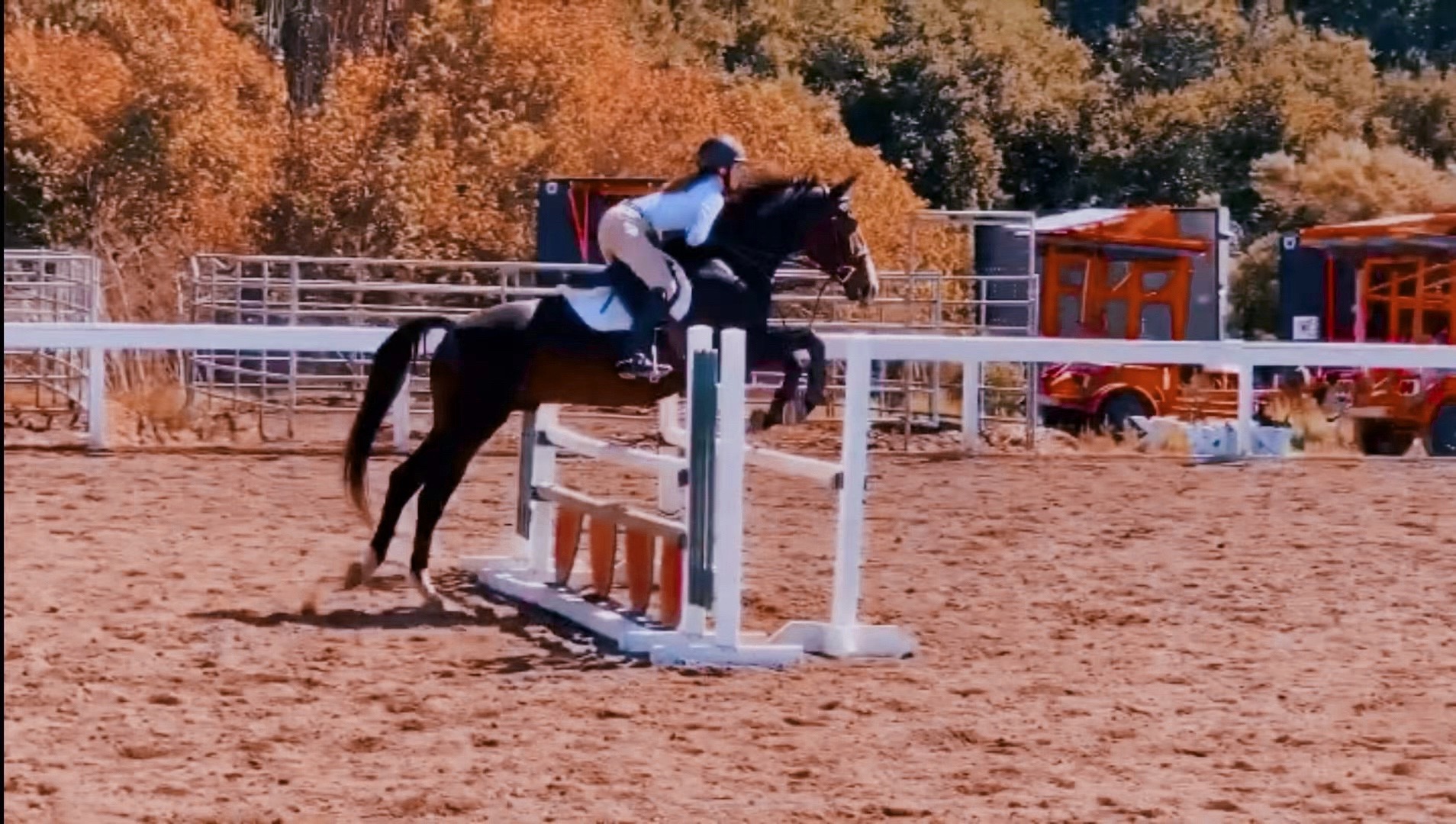 Horse riding