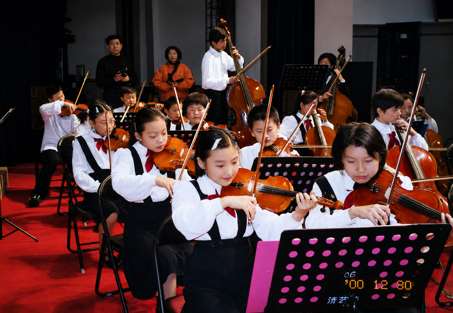 Violin